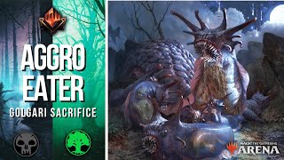 Destroying aggro players GOLGARI SACRIFICE  Mythic rank standard BO1 deck guide  Toxrill MTG Arena [upl. by Entsirhc437]