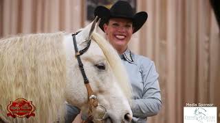 2024 Gypsy Vanner National Championships DAY4 RECAPWestern Pleasure Ranch Riding Horsemanship [upl. by Jordanson367]