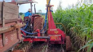 trator massey ferguson 275 na silagem de milho com ensiladeira menta atm 11 colhendo duas linhas [upl. by Huldah287]