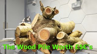 The £700 Wood Pile My Laburnum Processing Journey [upl. by Harol]