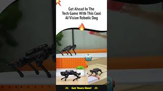 AI Vision Quadruped Robot [upl. by Eseilana]