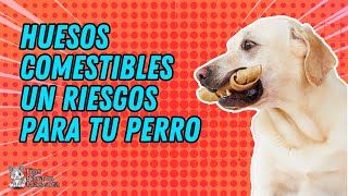 🐾🐶VENTAJAS Y DESVENTAJAS DE LOS HUESOS COMESTIBLES PARA PERROS [upl. by Mia]