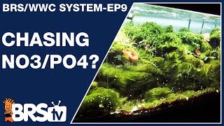 Ep9 Best nitrate and phosphate level for a reef tank   The BRSWWC System [upl. by Sophy]