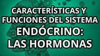 Sistema Endócrino  Principales Características y Funciones  Las hormonas [upl. by Penny852]