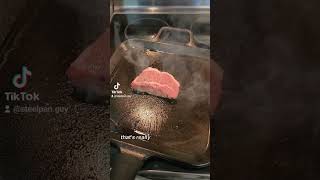 Stainless Steel VS Cast Iron steak crust [upl. by Rhett]