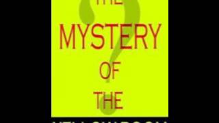 The Mystery of the Yellow Room  Complete Audiobook [upl. by Neehar]