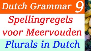 Rules for plural spelling in Dutch language  Spellingregels voor Meervouden in Nederlands lesson 8 [upl. by Jayne]