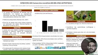 Herbivoria em chamaecrista rotundifolia em uma área antropizada [upl. by Haletta84]