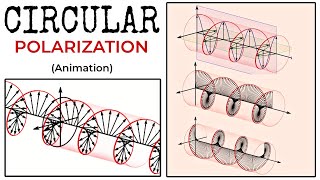 Circular Polarization  Circularly Polarized Electromagnetic Wave Animation [upl. by Aivad862]