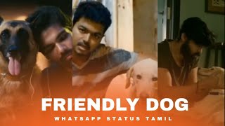 💓😍ungaluku⚡🐶 dog🦮🔥 na romba pudikuma whatsapp status tamil  dog😘🐕 lovers whatsapp status in tamil [upl. by Kellda]