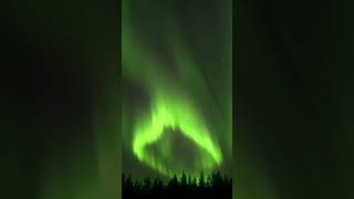 Brilliant northern lights illuminate Lapland sky auroraboreal northernlights shorts nature sky [upl. by Alba]