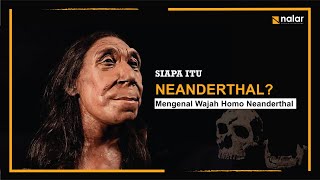 Homo Neanderthal Mengenal Kerabat Dekat Homo Sapiens [upl. by Noivert347]