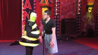 Circus Hilarious  Hippodrome Circus  Bee Routine [upl. by Halyahs446]