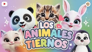 quotLos 20 Animales Más Tiernos del Mundo 🐾 ¡Te Derretirán el Corazónquot REINO ANIMAL COLORIDO [upl. by Nohsid]