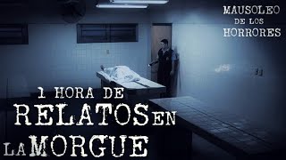 RELATOS EN LA MORGUE VOL 4  ESPECIAL 150K SUSCRIPTORES HISTORIAS DE TERROR [upl. by Maurine271]