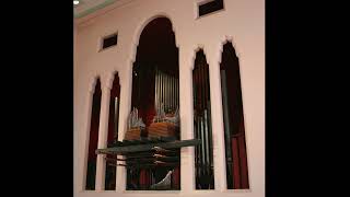 French Organ Recital  Wellington Cathedral [upl. by Wakeen]