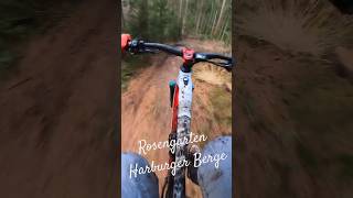 Harburger Berge  Rosengarten  mtb downhilltrail trails freeride enduro emtb emtbenduro [upl. by Haisoj]