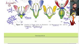 Morphology of flowering plants part 4  Class 11  The Flower  NEET [upl. by Nenad699]