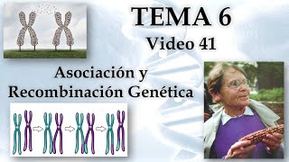 44Tema 6 Asociación y Recombinación Genética Genética Cód 2030 [upl. by Ailes]