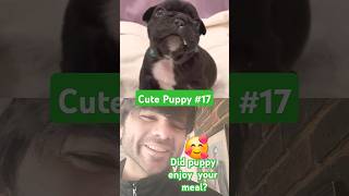 Adorable 🇫🇷 🥰puppies crying 😪 puppy sadpuppy crying frenchbulldog frenchie cute doglover [upl. by Mcnelly]