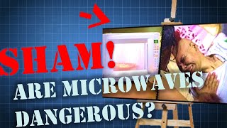 The TRUTH about Diseases Caused by Microwaves ReviewRant [upl. by Niccolo]