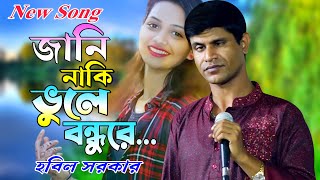 সুখ হইল না এই জীবনে ।। HOBIL SORKAR ।। ও আমার প্রাণ বন্ধু রে ।। New Song 2024 ।। Baul Tv R । FullHD [upl. by Durant371]