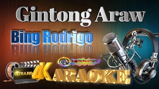 Gintong Araw  Bing Rodrigo  KARAOKE 🎤🎶 [upl. by Farra]