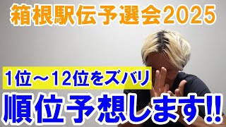 箱根駅伝予選会2025 1位～12位まで順位予想します [upl. by Aninnaig]