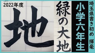 埼玉県書き初め課題書いてみました！小学6年生編【書き初め】【埼玉県】【小6】 [upl. by Gus]