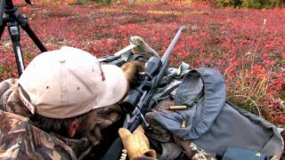 long range hunting 890 yard Alaskan moose kill using huskemaw scope [upl. by Canning]