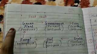 Mode of Nutrition Difference between Autotrophic nutrition amp Heterotrophic nutrition explain [upl. by Ardnuek]