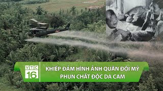 Khiếp đảm hình ảnh quân đội Mỹ phun chất độc da camDioxin xuống Việt Nam  VTC16 [upl. by Siraval]