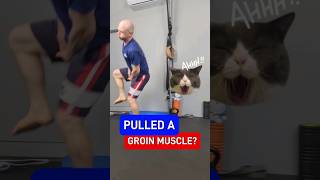 Pulled a groin muscle [upl. by Daryn]