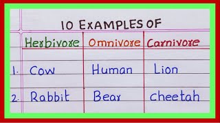 Examples of Herbivores Omnivores Carnivores  5  10 Examples of Herbivores Omnivores Carnivores [upl. by Matias]