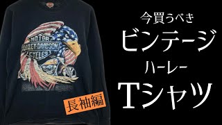 現在販売中のお手頃ビンテージハーレーロンTシャツを紹介します。（202411） [upl. by Garreth]