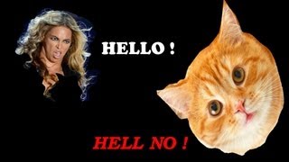 Beyoncé  Hello Cat Version [upl. by Elbertina911]