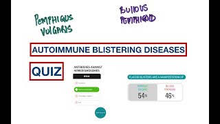 Blisters Pemphigus Vulgaris vs Bullous Pemphigoid  USMLE  MCQs [upl. by Rehtaef]