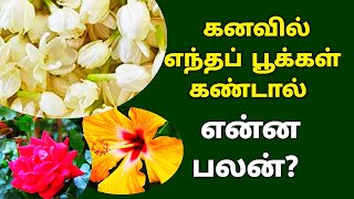 Poo Kanavil Vanthaal Enna PalanDream Of Flowers Meaning In Tamil  KalyanaVirundhu [upl. by Kimberly363]