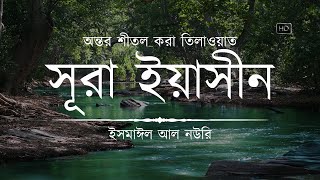 অন্তর শীতল করা সূরা ইয়াসিন এর তিলাওয়াত ┇ Surah Yasin Recited by Ismail An Nouri ┇ An Nafee [upl. by Porter]