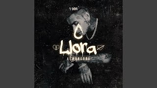 Llora [upl. by Buff]