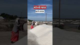 खेतों में नमक कैसे बनता है  salt farming in India [upl. by Steffen690]