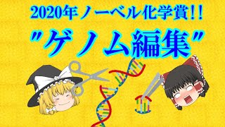 【ふわっと解説】2020年ノーベル化学賞quotゲノム編集quot [upl. by Rossi]