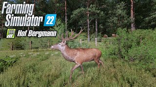 EEN EIGEN HERTEN FOKKERIJ Farming Simulator 22 Hof Bergmann [upl. by Ellynad233]