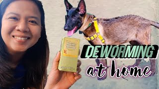 HOW TO USE PYRANTEL EMBONATE NEMATOCIDE TO DEWORM A DOG AT HOME  EASY DIY DOG DEWORMING PURGA [upl. by Alister]