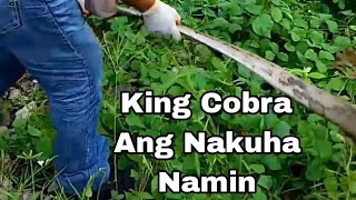 King Cobra ang Napatay Namin  Edcons Vlog [upl. by Edylc332]