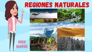 LAS REGIONES NATURALES [upl. by Eerahc]