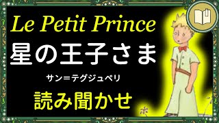 【眠くなる声】読み聞かせ『星の王子さま』全編 【睡眠導入】 [upl. by Sucrad619]