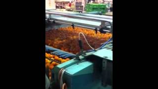 fruit disinfection with ozone generator [upl. by Mackler]