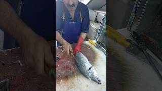 Fish Cutting Barramundi Sea Bass [upl. by Inajna]