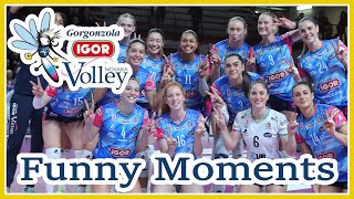 Igor Gorgonzola Novara Volley Funny Moments  Funniest Volleyball Moments [upl. by Fabriane527]